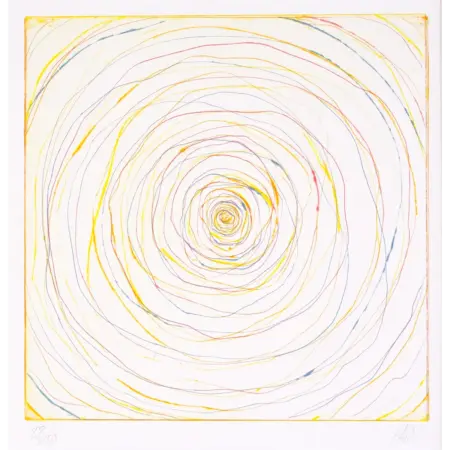 The Wow Signal